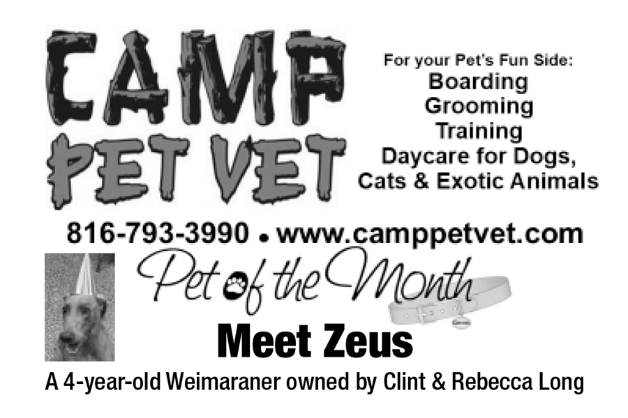 Camp Pet Vet
